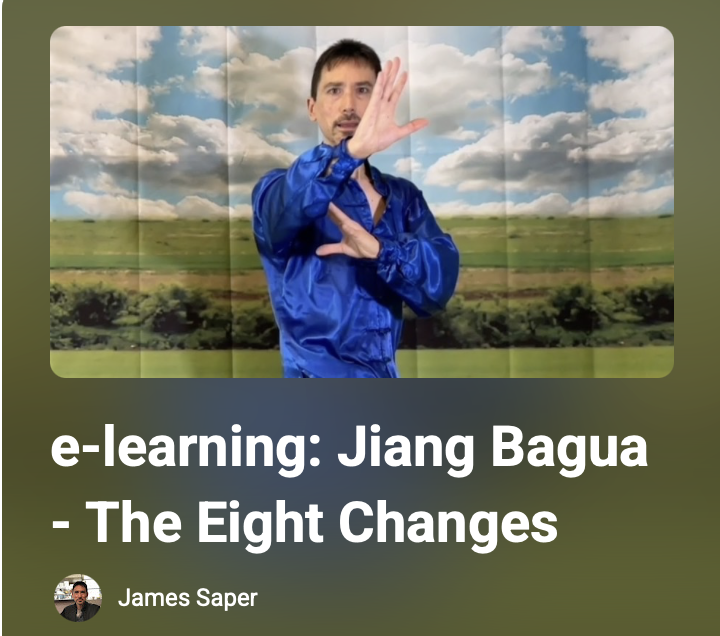 Bagua 8 Changes