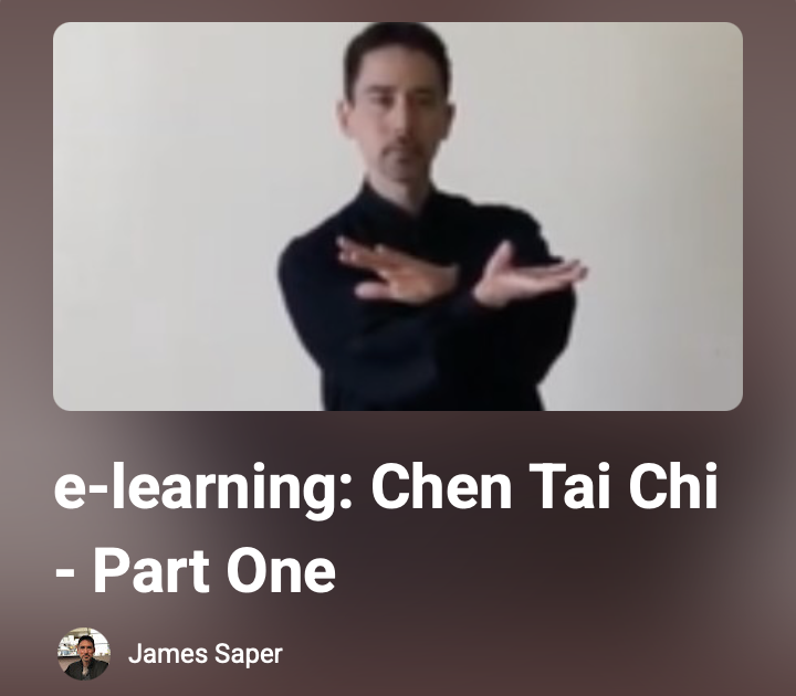Chen Tai Chi Part 1